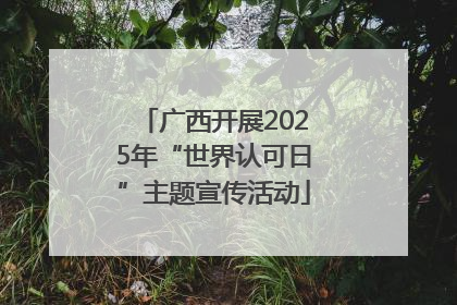 广西开展2025年“世界认可日”主题宣传活动
