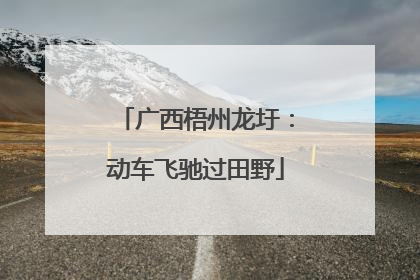 广西梧州龙圩：动车飞驰过田野