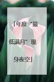 年度“最低满月”现身夜空