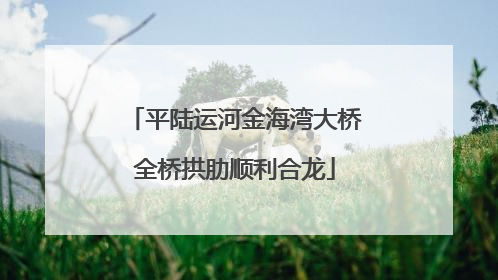 平陆运河金海湾大桥全桥拱肋顺利合龙