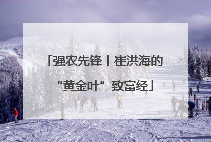 强农先锋丨崔洪海的“黄金叶”致富经
