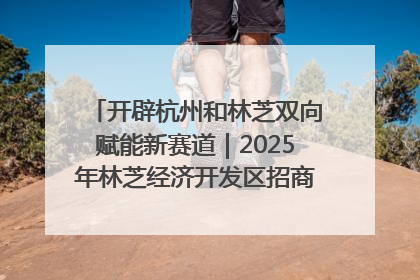 开辟杭州和林芝双向赋能新赛道｜2025年林芝经济开发区招商引资（杭州）推介展销活动在杭举办