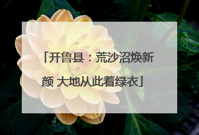 开鲁县：荒沙沼焕新颜 大地从此着绿衣