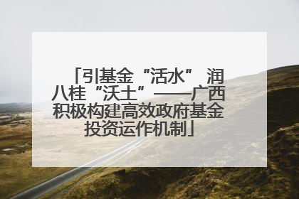 引基金“活水” 润八桂“沃土”——广西积极构建高效政府基金投资运作机制