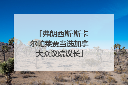 弗朗西斯·斯卡尔帕莱贾当选加拿大众议院议长