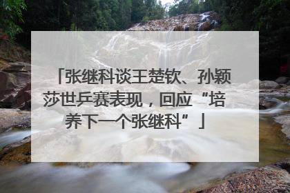 张继科谈王楚钦、孙颖莎世乒赛表现，回应“培养下一个张继科”
