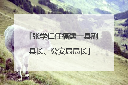 张学仁任福建一县副县长、公安局局长