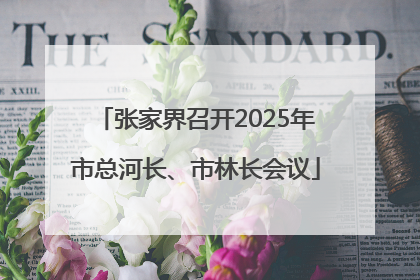 张家界召开2025年市总河长、市林长会议