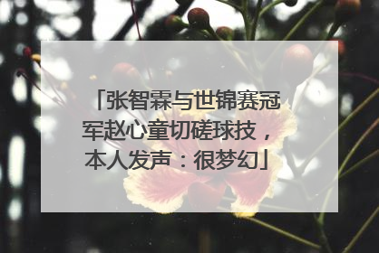 张智霖与世锦赛冠军赵心童切磋球技，本人发声：很梦幻