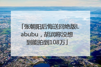 张朝阳后悔送回绝版Labubu，胡润称没想到能拍到108万