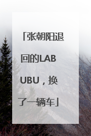 张朝阳退回的LABUBU，换了一辆车