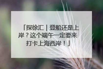 探徐汇｜登船还是上岸？这个端午一定要来打卡上海西岸！