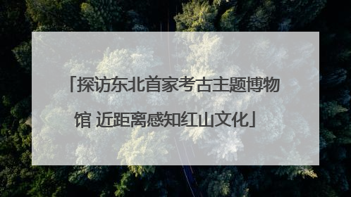 探访东北首家考古主题博物馆 近距离感知红山文化