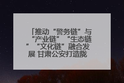 推动“警务链”与“产业链”“生态链”“文化链”融合发展 甘肃公安打造陇原旅游警务品牌
