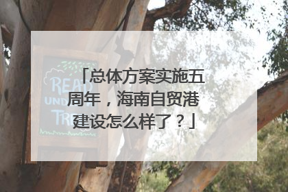 总体方案实施五周年，海南自贸港建设怎么样了？