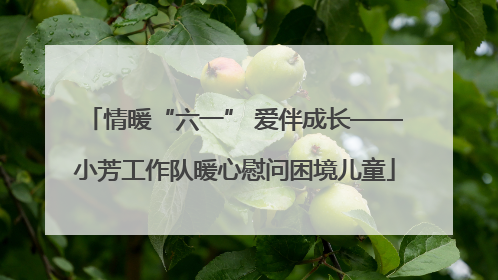 情暖“六一” 爱伴成长——小芳工作队暖心慰问困境儿童