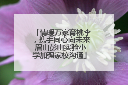 情暖万家育桃李，携手同心向未来 眉山彭山实验小学加强家校沟通