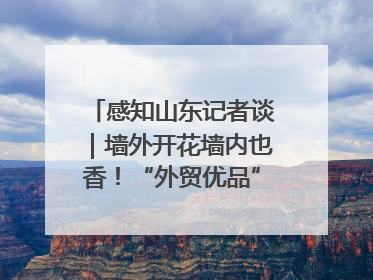 感知山东记者谈｜墙外开花墙内也香！“外贸优品”打通国内国际市场“旋转门”