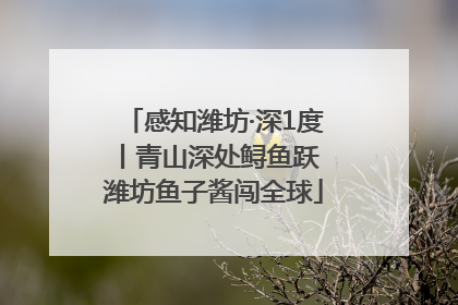 感知潍坊·深1度丨青山深处鲟鱼跃 潍坊鱼子酱闯全球