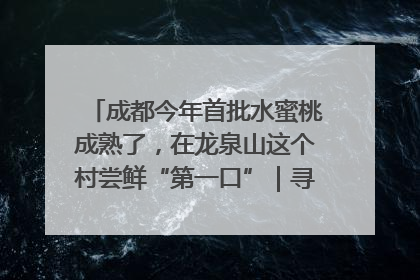成都今年首批水蜜桃成熟了，在龙泉山这个村尝鲜“第一口”｜寻找和美乡村推荐官