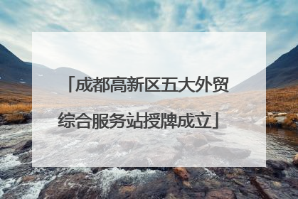 成都高新区五大外贸综合服务站授牌成立
