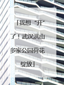 我想“开”了！武汉洪山多家公园荷花绽放