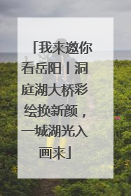 我来邀你看岳阳丨洞庭湖大桥彩绘换新颜，一城湖光入画来