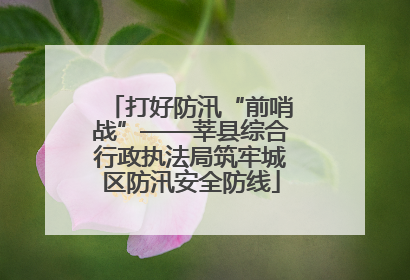 打好防汛“前哨战”——莘县综合行政执法局筑牢城区防汛安全防线