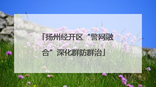 扬州经开区“警网融合”深化群防群治