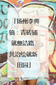 扬州李典镇：青砖铺就整洁路 共治绘就新田园
