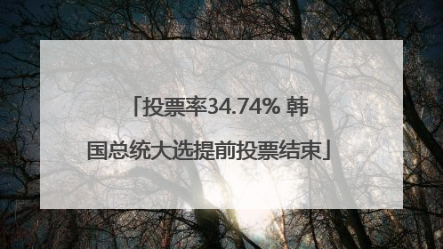 投票率34.74% 韩国总统大选提前投票结束