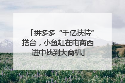 拼多多“千亿扶持”搭台，小鱼缸在电商西进中找到大商机