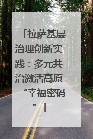 拉萨基层治理创新实践：多元共治激活高原“幸福密码”