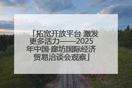拓宽开放平台 激发更多活力——2025年中国·廊坊国际经济贸易洽谈会观察