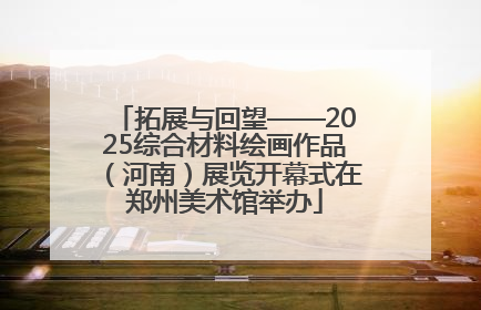 拓展与回望——2025综合材料绘画作品（河南）展览开幕式在郑州美术馆举办