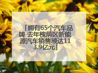 拥有65个汽车品牌 去年槐荫区新能源汽车销售额达113.9亿元