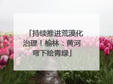 持续推进荒漠化治理！榆林：黄河弯下绘青绿