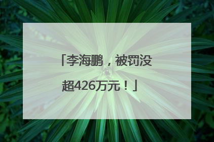 李海鹏，被罚没超426万元！