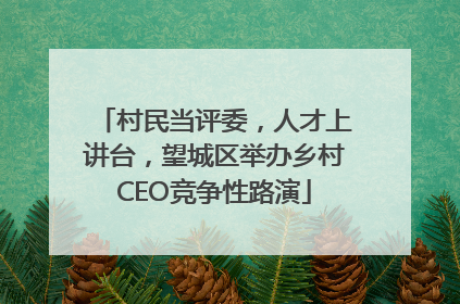 村民当评委，人才上讲台，望城区举办乡村CEO竞争性路演
