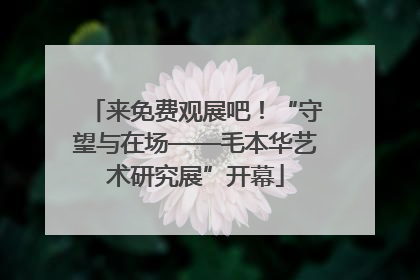 来免费观展吧！“守望与在场——毛本华艺术研究展”开幕