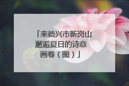 来德兴市新岗山 邂逅夏日的诗意画卷（图）