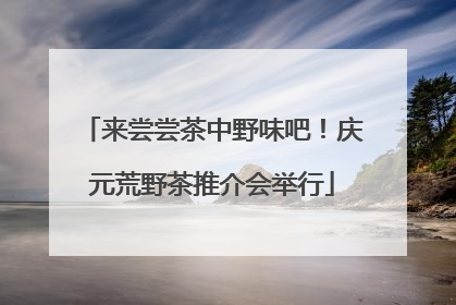来尝尝茶中野味吧！庆元荒野茶推介会举行