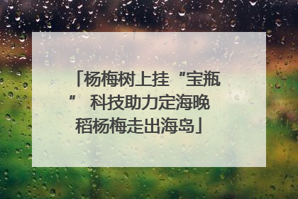 杨梅树上挂“宝瓶” 科技助力定海晚稻杨梅走出海岛