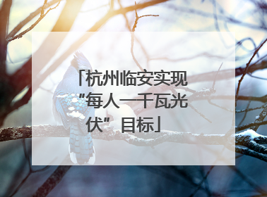 杭州临安实现“每人一千瓦光伏”目标