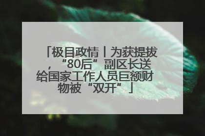 极目政情丨为获提拔，“80后”副区长送给国家工作人员巨额财物被“双开”