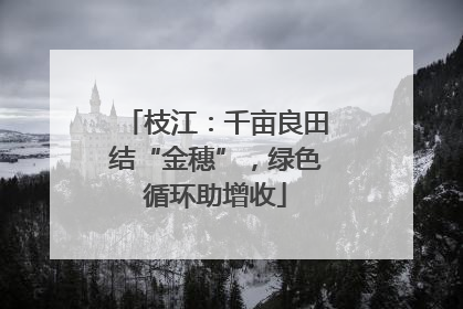 枝江：千亩良田结“金穗”，绿色循环助增收