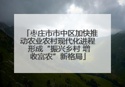 枣庄市市中区加快推动农业农村现代化进程 形成“振兴乡村 增收富农”新格局