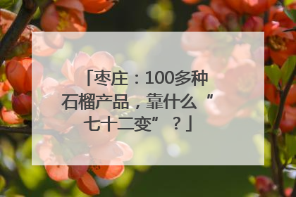 枣庄：100多种石榴产品，靠什么“七十二变”？