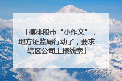 摸排股市“小作文”，地方证监局行动了，要求辖区公司上报线索
