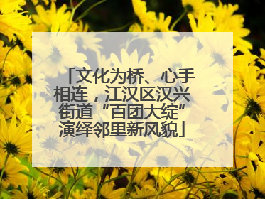 文化为桥、心手相连，江汉区汉兴街道“百团大绽”演绎邻里新风貌